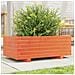 Fioriera Giardino Marrone Cera 70x40x26,5cm Legno Massello Pino - Foto miniatura 7