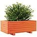 Fioriera Giardino Marrone Cera 70x40x26,5cm Legno Massello Pino - Foto miniatura 9