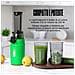 Ginnie Spremiagrumi a Freddo Professionale, Estrattore Lento 60 RPM per Agrumi, Design Compatto e Facile da Pulire, 400ml, 100W - Verde Pappagallo - Foto miniatura 6