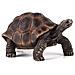 Tartaruga Gigante Modello Giocattolo Animale - Foto miniatura 1