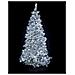 Luci Per Albero Di Natale A Led Bianco Freddo Cavo Da 20 Metri Con 800 Led Luci Natalizie Per Alberi Super Luminosi Uso Interno Ed Esterno - Foto miniatura 3