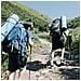 Bastone Da Trekking Ultraleggero A 5 Sezioni 1 Paio Red - Foto miniatura 4