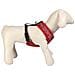Imbracatura Per Cani Xxs /xs Nero - Foto miniatura 6