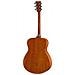 FS800 NT Chitarra acustica 6 corde Legno - Foto miniatura 2