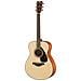 FS800 NT Chitarra acustica 6 corde Legno - Foto miniatura 1