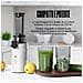 Ginnie Spremiagrumi a Freddo Professionale, Estrattore Lento 60 RPM per Agrumi, Design Compatto e Facile da Pulire, 400ml, 100W - Bianco - Foto miniatura 6