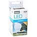 Lampadina Led Sferica E14 4w 320 Lm 4200 K Luce Naturale - Foto miniatura 3