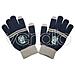 Guanti Corvonero Harry Potter Etouch Gloves Ravenclaw - Foto miniatura 1