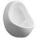 WC Orinatoio Sospeso con Sciacquone in Ceramica Bianco - Foto miniatura 7