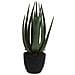 Pianta Artificiale In Vaso Aloe Vera 25x45 Cm - Foto miniatura 1