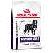 Neutered Adult Large Dog 13 kg Adulto - Foto miniatura 1