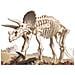 49028 - Piccolo Genio Scava E Scopri Triceratops - Foto miniatura 2