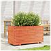 Fioriera Giardino Marrone Cera 90x40x49,5cm Legno Massello Pino - Foto miniatura 9