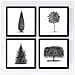 Set Di 4 Stampe Fogli Di Alberi. Diversi Alberi Di , Carta Poster Di Sfondo Bianco 250 Gr E Inchiostri Di Alta Qualità Senza Cornice 20x20 Cm - Foto miniatura 1