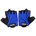 Guanti da Allenamento (taglia XL - colore blu) - Foto miniatura 1