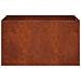 Vaso da giardino 2 pz Ruggine 100 x 50 x 50 cm Acciaio Corten - Foto miniatura 5