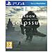 PS4 - Shadow Of The Colossus HD - Foto miniatura 7