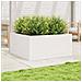 Fioriera Da Giardino Bianca 100x100x46cm Legno Massello Di Pino - Foto miniatura 3