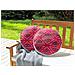 Set Di 2 Cuscini Mezzano 40 X 40 Cm Geometrico Rosa - Foto miniatura 1