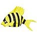 Cappello Pesce Tropicale Giallo - Foto miniatura 1