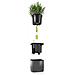 Green Wall Home Kit Glossy Vaso a cubo Montabile a parete Polipropilene (PP) Nero Interno - Foto miniatura 2