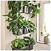 Green Wall Home Kit Glossy Vaso a cubo Montabile a parete Polipropilene (PP) Nero Interno - Foto miniatura 3