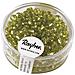 Rayher - 17 Grammi - Perline In Vetro Rotonde Con Foro Argentato Ø4mm - Colore Verde - Foto miniatura 1