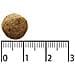 9117387 cibo secco per cani 11 kg Adulto Elk - Foto miniatura 2