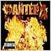 Pantera - Reinventing The Steel - Foto miniatura 1
