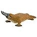 Safari Ltd Wild Safari Wildlife Ornitorinco - Foto miniatura 1
