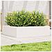 Fioriera Da Giardino Bianca 90x90x23 Cm Legno Massello Di Pino - Foto miniatura 1