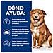 605870 cibo umido per cani Manzo Universale 12 kg - Foto miniatura 2