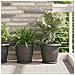 Vassoio Rotondo per Fiori 6 pcs Nero Ø 14 x 2 cm Plastica - Foto miniatura 2