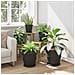 Vassoio Rotondo per Fiori 6 pcs Nero Ø 14 x 2 cm Plastica - Foto miniatura 4