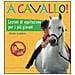 Heike Lebherz - A cavallo! Lezioni di equitazione per i più giovani. Ediz. illustrata - Foto miniatura 3