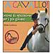 Heike Lebherz - A cavallo! Lezioni di equitazione per i più giovani. Ediz. illustrata - Foto miniatura 2