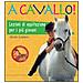 Heike Lebherz - A cavallo! Lezioni di equitazione per i più giovani. Ediz. illustrata - Foto miniatura 1