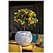 Vaso a Sfera Nature Rib 40x32 cm Avorio KOFI270 - Foto miniatura 8