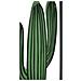 Pannello Da Muro Cactus In Ferro, Set 3 Pezzi 33x46 Cm - Foto miniatura 3