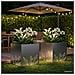 Vaso da giardino 2 pz Argento 50 x 50 x 49 cm Acciaio zincato - Foto miniatura 3