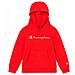 Felpa Cappuccio Bambino (305358-rs041) - Rosso Xxl 15-16 Anni - Foto miniatura 1