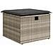 Set Divano da Giardino con Cuscini Grigio Chiaro Polyrattan,  Divano da Giardino a 2 Posti con Stoccaggio e Cuscini Grigio Chiaro Polyrattan - Foto miniatura 6
