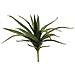 Pianta Artificiale Aloe Verde 50cm - Foto miniatura 1