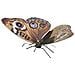 Fascinations Metal Earth Butterfly Buckeye Puzzle Di Metallo 3d - Foto miniatura 1