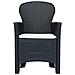 Lusso Casadino -  Sedie Da Giardino 2 Pz Cuscino Antracite Plastica Stile Rattan - Foto miniatura 4