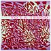 Yo La Tengo - I Am Not Afraid Of You And I (2 Lp)  - Foto miniatura 1