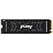 SSD 1 TB Serie Fury Renegade M. 2 Interfaccia PCI Express - Foto miniatura 1