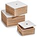 Contenitore Con Coperchio, Organizer - 3 Pezzi Inclusi, - Foto miniatura 1