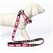 Collare Per Cani Rosso Xs /s - Foto miniatura 2