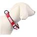 Collare Per Cani Rosso Xs /s - Foto miniatura 6